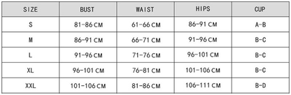 Solid Color Lace up Split Swimsuit Women Lace Bow Leopard Print High Elastic Bikini - Iyanka