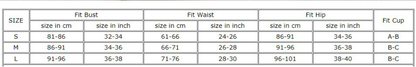 Women Two Piece Set Bikini Sexy Bikini Split Women Swimsuit - Iyanka