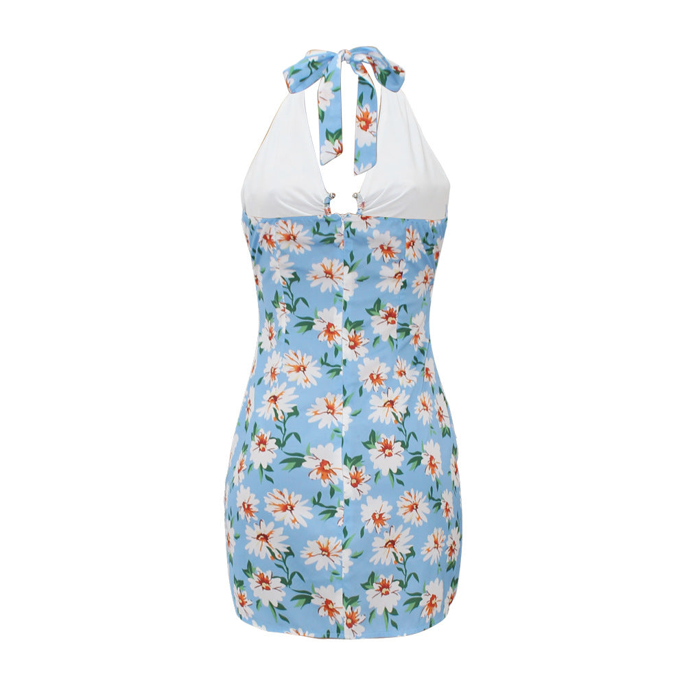 Summer Women Clothing Printed Sexy Halter Backless Dress Swimsuit