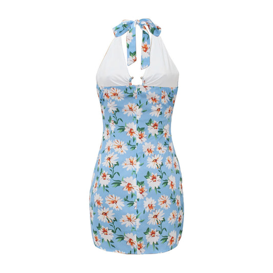 Summer Women Clothing Printed Sexy Halter Backless Dress Swimsuit