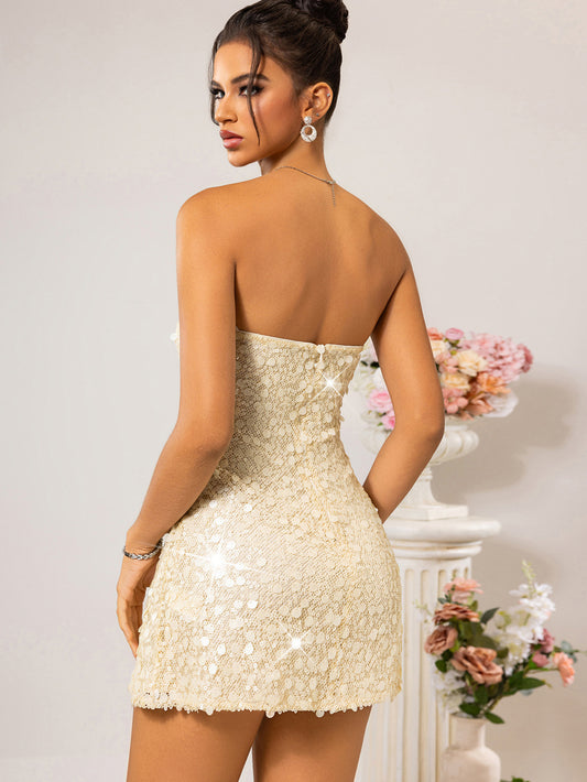 Women Clothing Party Dress Sexy Backless Sequin Dress - Iyanka