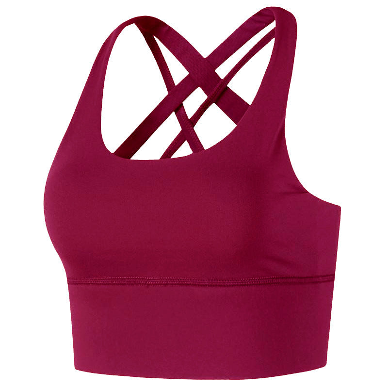 Autumn Sports Underwear Women Shockproof Running Workout Vest Quick Drying Push up Beauty Back Yoga Sports Bra - Iyanka