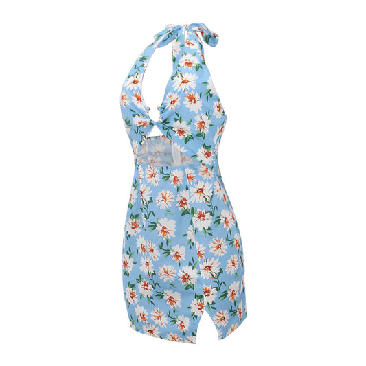 Summer Women Clothing Printed Sexy Halter Backless Dress Swimsuit