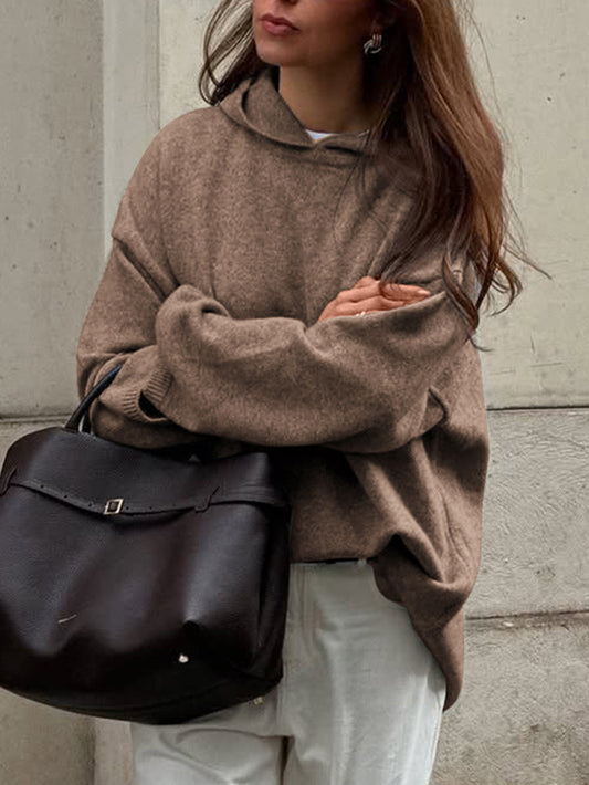 Casual Minimalist Long Sleeve Hooded Sweater Woolen - Iyanka