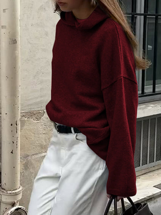 Casual Minimalist Long Sleeve Hooded Sweater Woolen - Iyanka